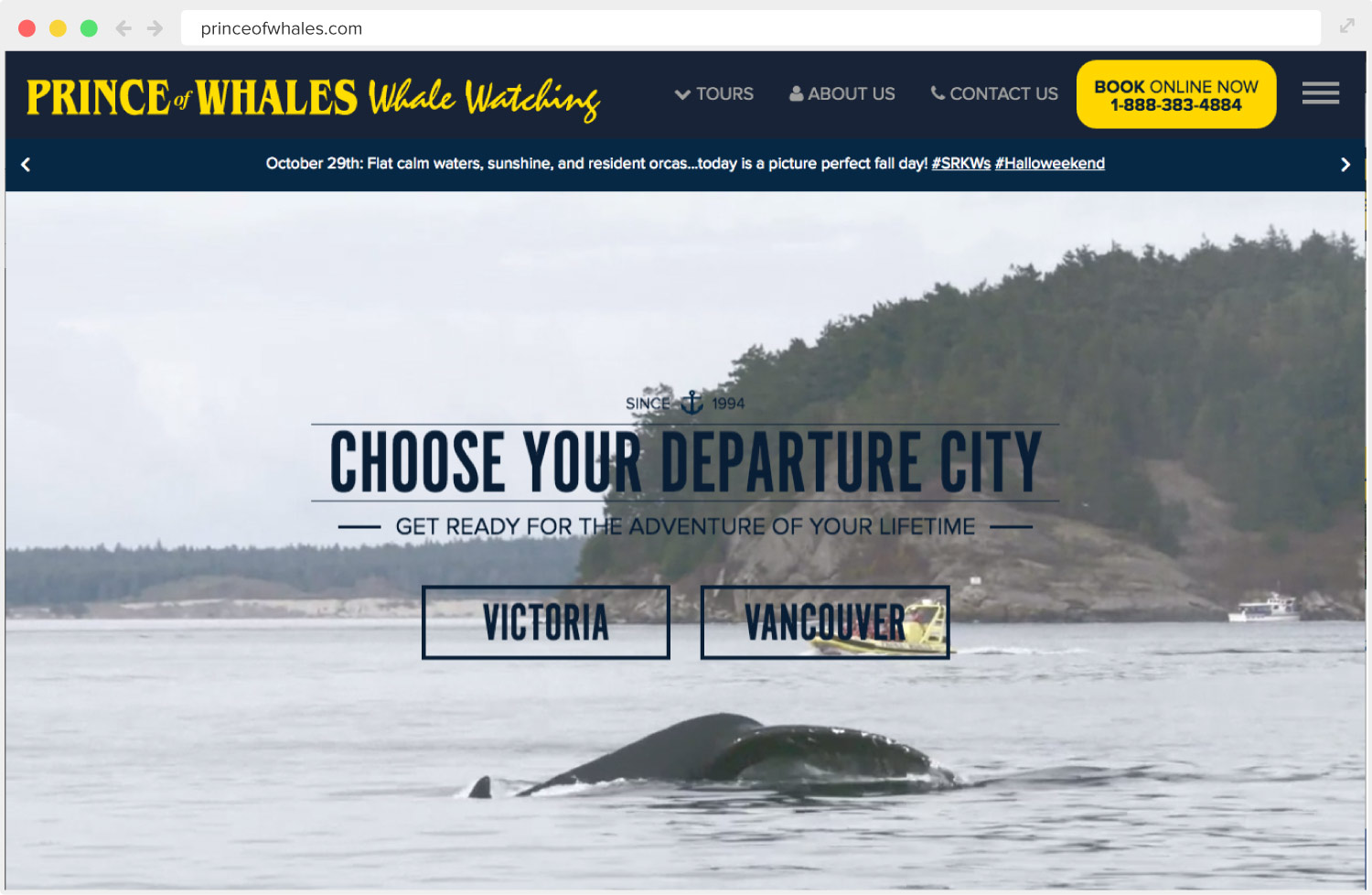 Prince of Whales website design
